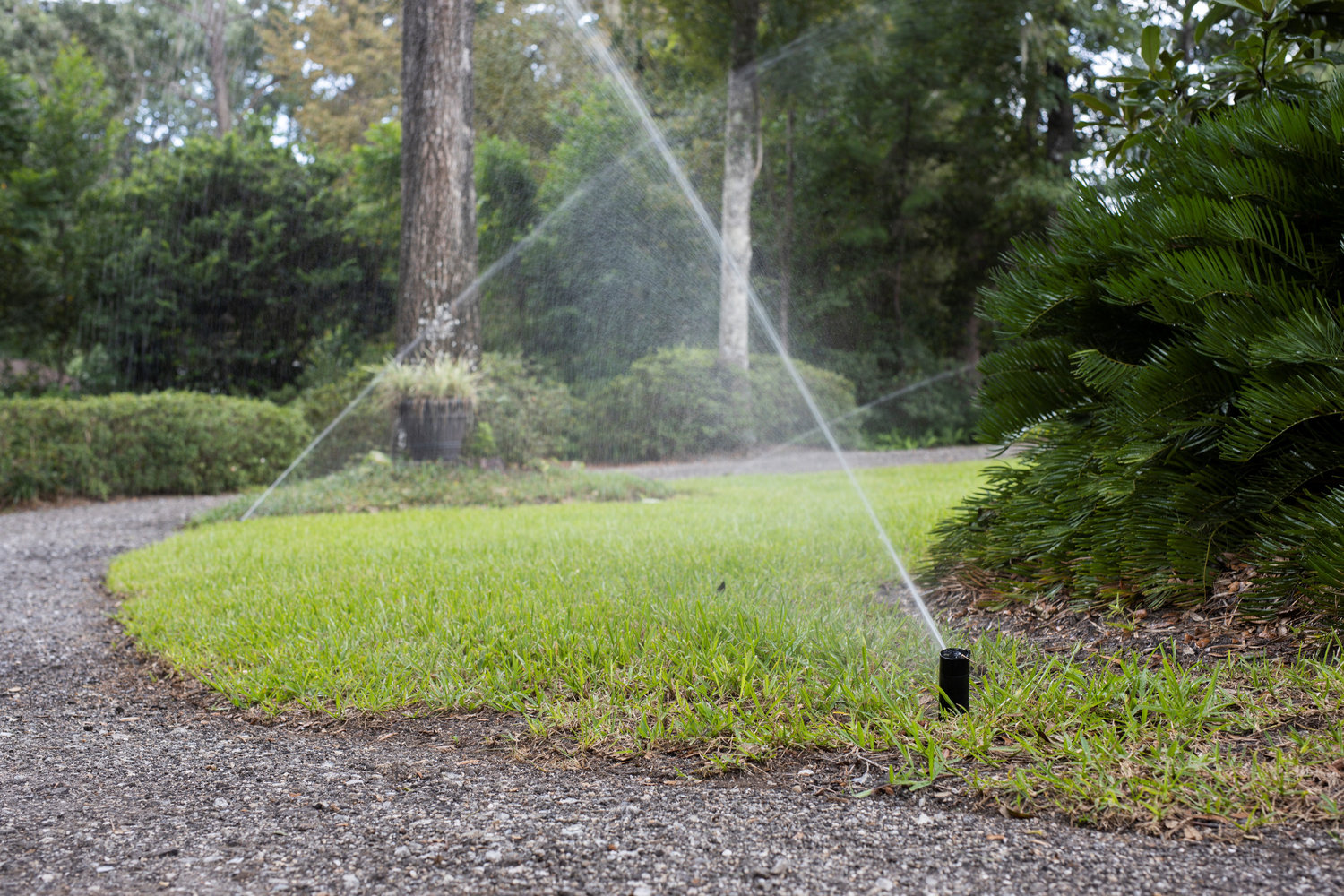 Pop-up, in-ground sprinkler head and home irrigation system.